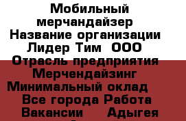 Мобильный мерчандайзер › Название организации ­ Лидер Тим, ООО › Отрасль предприятия ­ Мерчендайзинг › Минимальный оклад ­ 1 - Все города Работа » Вакансии   . Адыгея респ.,Адыгейск г.